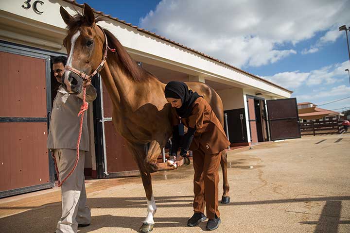 حوار مع د. فايزة فلكناز أول طبيبة بيطرية في شرطة أبوظبي