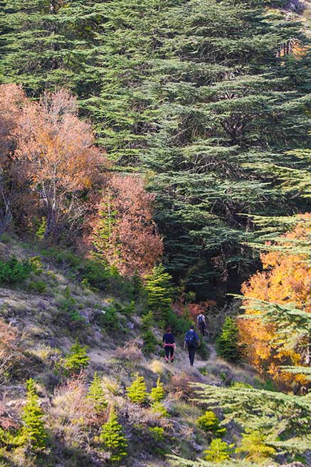 في لبنان.. رياضة المشي تتعزز في ربوع الطبيعة الخلابة