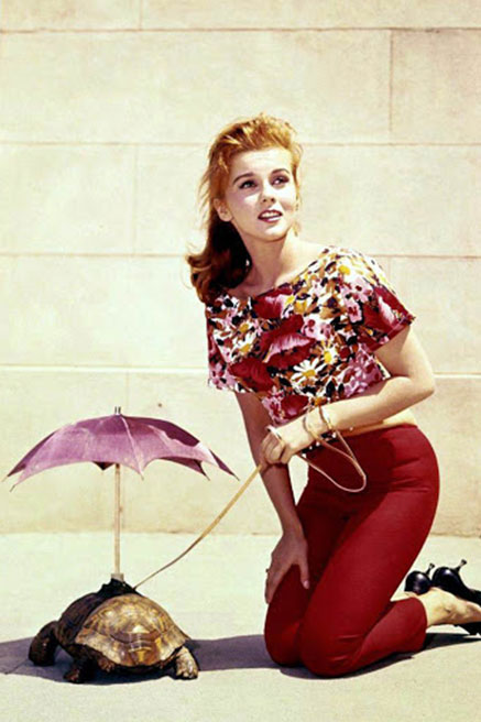 ‫  آن مرغرت  Ann-Margret