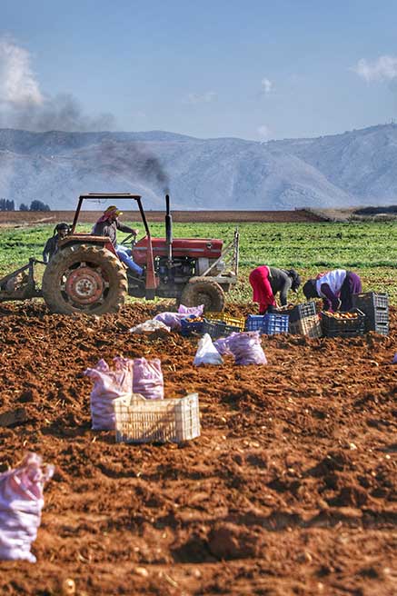 في لبنان.. رياضة المشي تتعزز في ربوع الطبيعة الخلابة