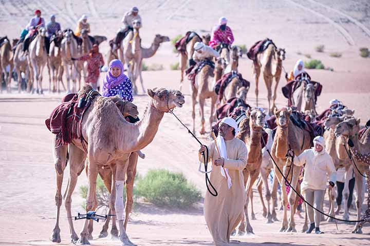 بعد 12 يوماً في الصحراء الغربية.. رحلة الهجن تحط رحالها أخيراً في القرية التراثية بالقرية العالمية