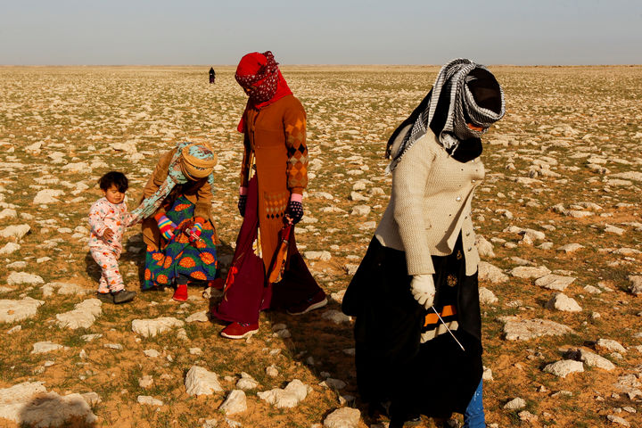 في العراق.. رحلة البحث عن الكمأ وسط الألغام