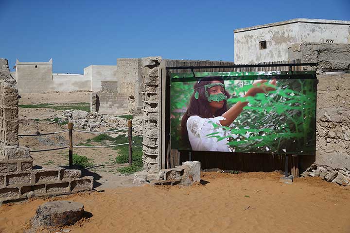 مهرجان رأس الخيمة للفنون البصرية.. الماضي والحاضر في احتفالية فنية ثقافية